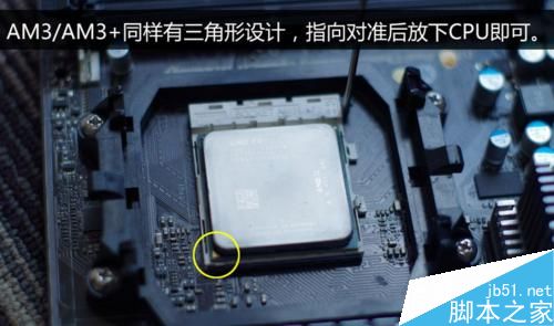 如何安裝AMD CPU和散熱器?