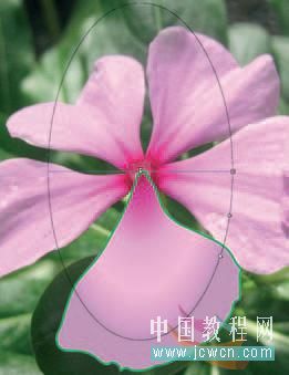 Flash cs3教程:仿真藝術(shù)設(shè)計1.13――漸變填充實(shí)現(xiàn)寫實(shí)效果的技巧_中國教程網(wǎng)