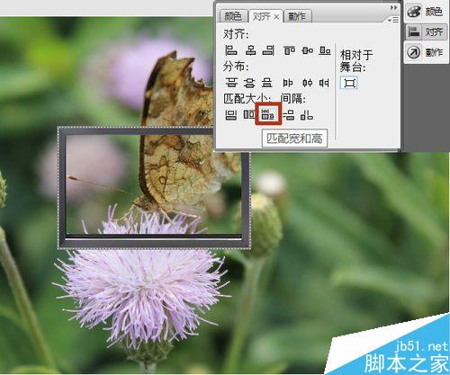flash按鈕控制實(shí)例――改變圖片大小深淺