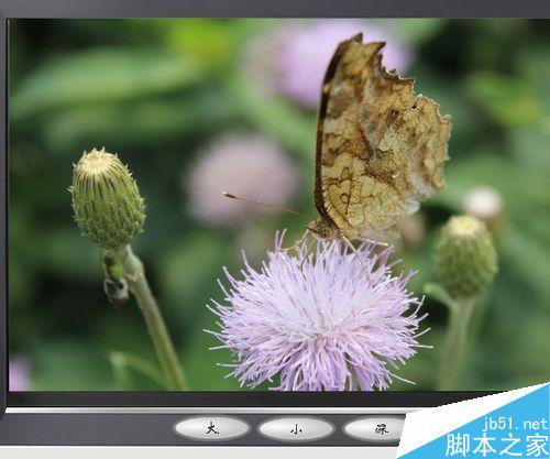 flash按鈕控制實(shí)例――改變圖片大小深淺