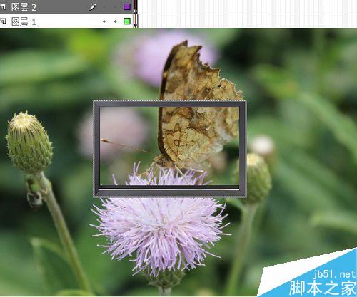 flash按鈕控制實(shí)例――改變圖片大小深淺