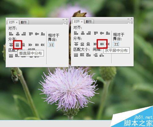 flash按鈕控制實(shí)例――改變圖片大小深淺