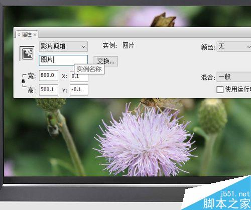 flash按鈕控制實(shí)例――改變圖片大小深淺