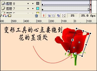 FlashMX實例制作驕艷的鮮花情人賀卡
