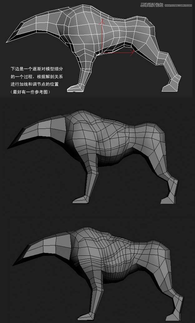 3ds MAX實例教程:多邊形建模小狗,破洛洛