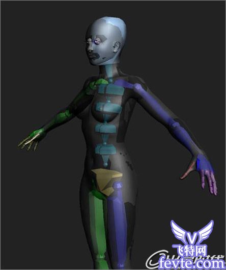 3DMax角色教程 愛琴海女孩 武林網 3DSMAX角色教程