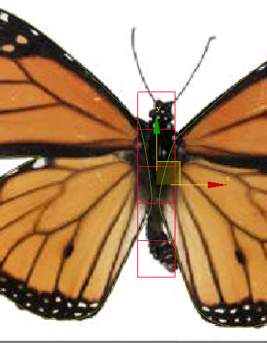用3D max制作蝴蝶舞動動畫 武林網(wǎng) 3DSMAX動畫教程