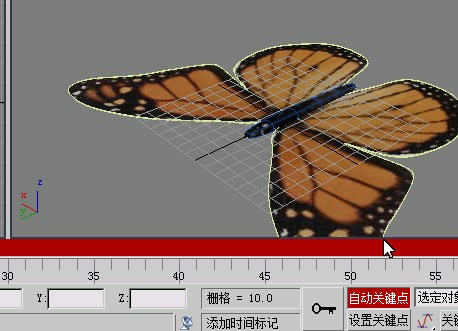用3D max制作蝴蝶舞動動畫 武林網(wǎng) 3DSMAX動畫教程
