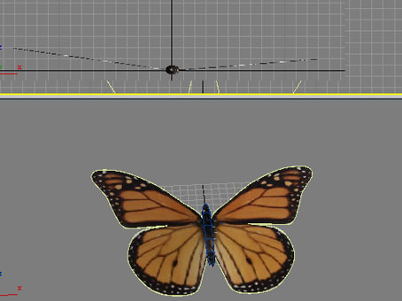 用3D max制作蝴蝶舞動動畫 武林網(wǎng) 3DSMAX動畫教程