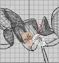 深入了解3DMAX建模技術(shù)--螞蟻實(shí)例(下)