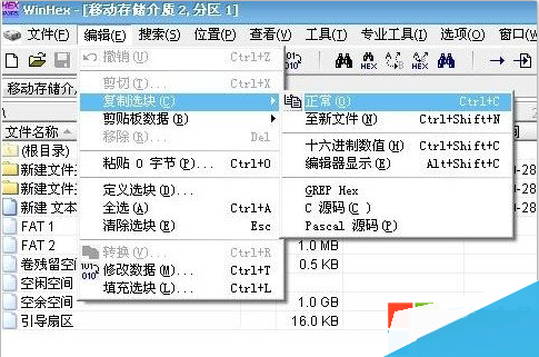 磁盤(pán)未被格式化怎么解決 磁盤(pán)未被格式化原因分析及解決辦法 怎么解決磁盤(pán)未被格式化問(wèn)題 系統(tǒng)之家  