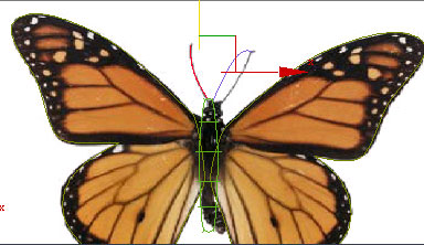 用3D max制作蝴蝶舞動動畫 武林網(wǎng) 3DSMAX動畫教程
