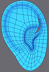 3ds Max耳朵建模教程 武林網 3DSMAX建模教程