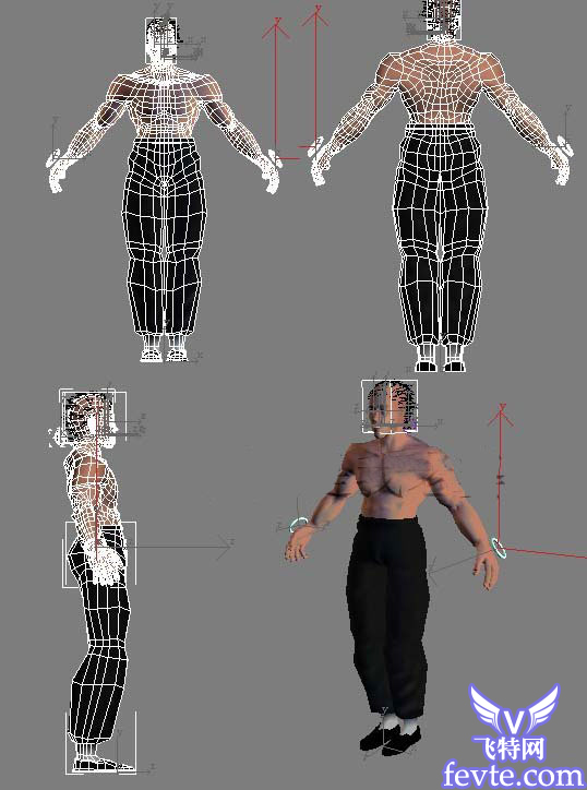 3DMA制作李小龍武打動作動畫教程 武林網(wǎng) 3DSMAX角色教程