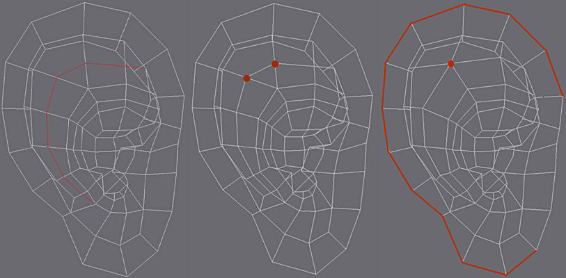 3ds Max耳朵建模教程 武林網 3DSMAX建模教程