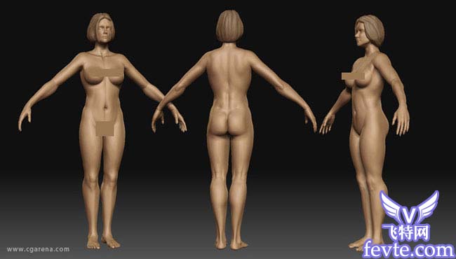 3DMAX加zbrush美人如花 GArena 武林網 3DSMAX角色教程