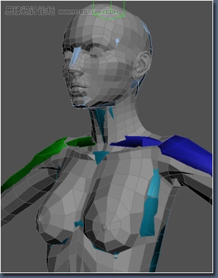 3D MAX建模教程:女性角色模型解析
