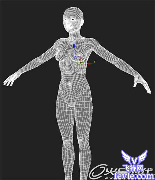 3DMax角色教程 愛琴海女孩 武林網 3DSMAX角色教程