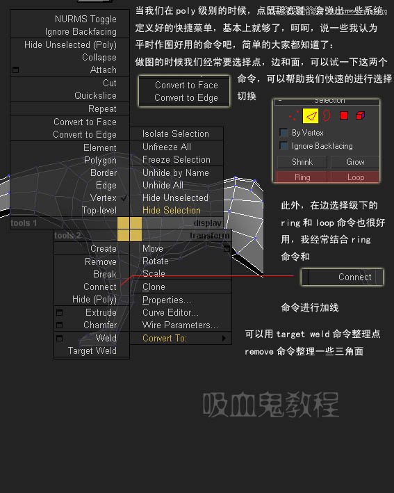 3ds MAX實例教程:多邊形建模小狗,破洛洛