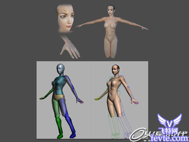 3DMAX打造女媧角色教程 武林網(wǎng) 3DSMAX角色教程