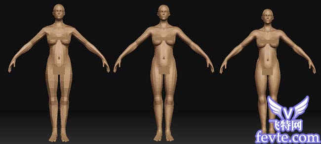 3DMAX加zbrush美人如花 GArena 武林網 3DSMAX角色教程