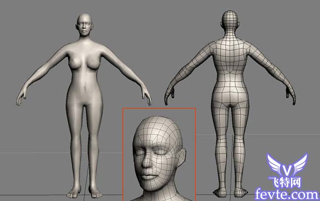 3DMAX加zbrush美人如花 GArena 武林網 3DSMAX角色教程