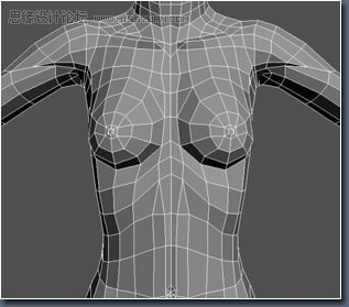 3D MAX建模教程:女性角色模型解析
