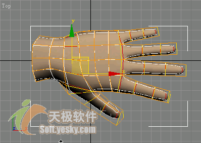 3Ds max多邊形建模實例:人手模型 武林網(wǎng) 3DSMAX入門教程