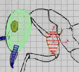 深入了解3DMAX建模技術(shù)--螞蟻實(shí)例(下)