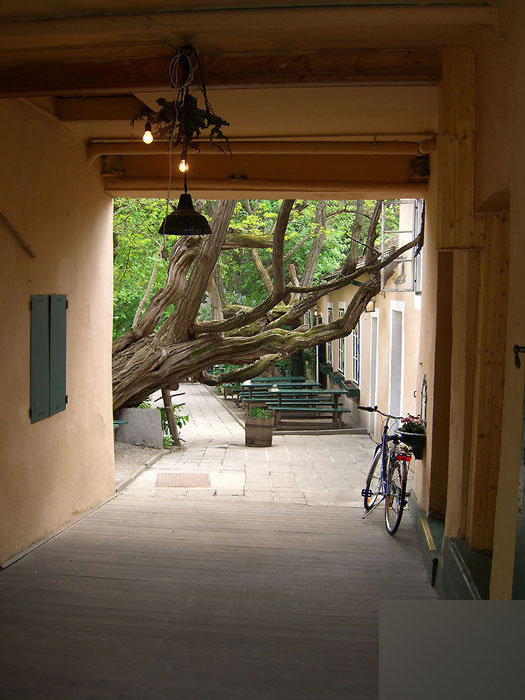 3DMAX打造意大利風(fēng)格小巷場景 武林網(wǎng) 3DMAX教程