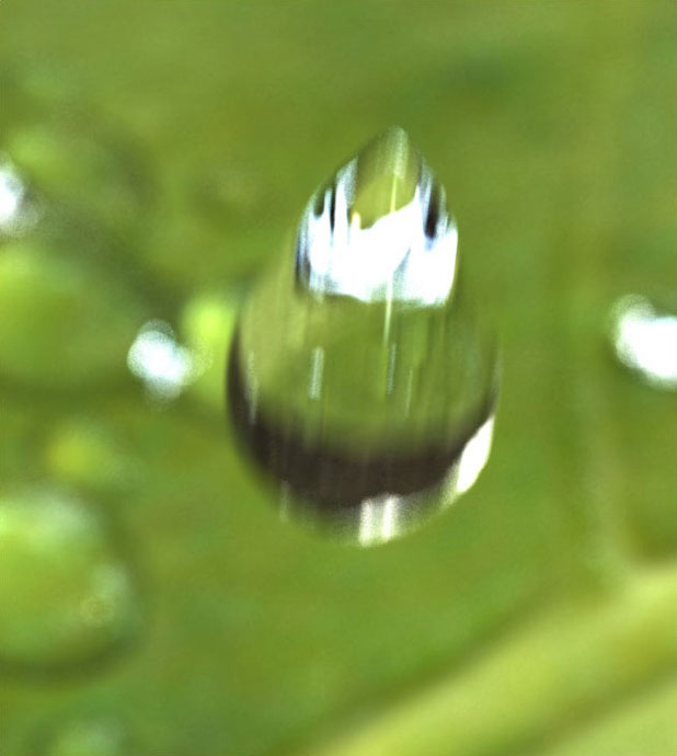 3ds max制作“水滴” 武林網(wǎng) 3dmax入門(mén)教程