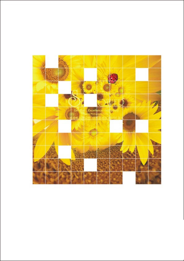 cdr任意拆分圖片或矢量圖形 武林網 cdr使用技巧