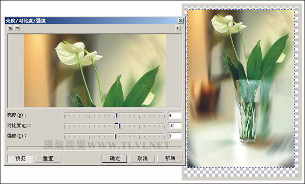 CDR繪制清新水彩效果畫面 武林網 CDR實例教程