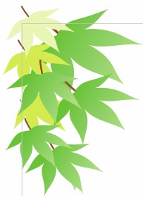 CDR繪制卡通青蛙 武林網 CDR實例教程