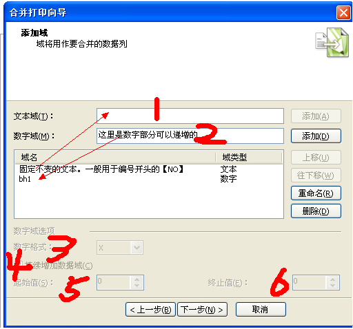 CDRx4自動編號(合并打印)介紹 武林網 CDR技巧教程