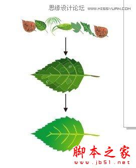 CorelDRAW解析網(wǎng)狀填充運用教程,武林網(wǎng)