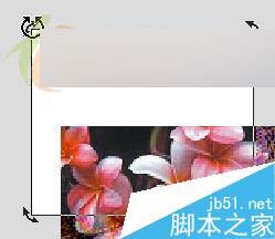 CorelDRAW X3新功能體驗:裁切工具 武林網 CorelDraw入門教程