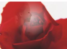 融會CorelDRAW9之透明合成 武林網 CorelDraw入門教程