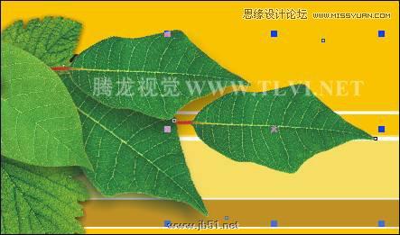 CorelDRAW設計環保宣傳海報教程,PS教程,思緣教程網