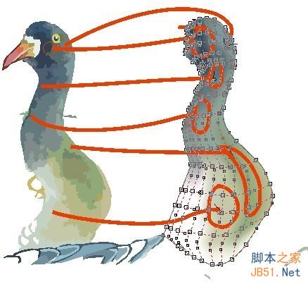 CDR臨摹國畫教程 武林網 CDR實例教程