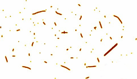 CDR繪制海報教程 武林網 CDR實例教程