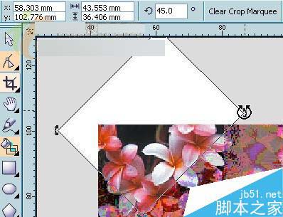 CorelDRAW X3新功能體驗:裁切工具 武林網 CorelDraw入門教程