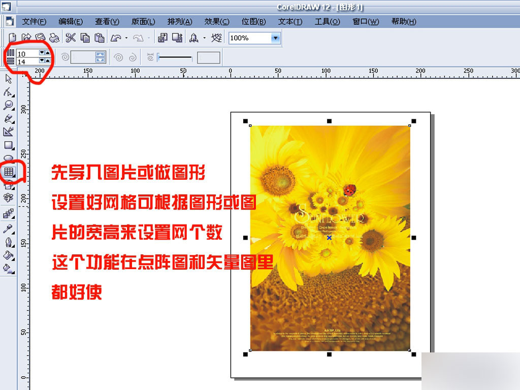 cdr任意拆分圖片或矢量圖形 武林網 cdr使用技巧