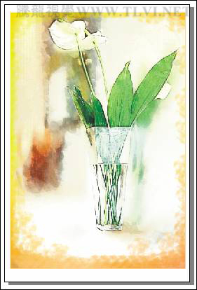 CDR繪制清新水彩效果畫面 武林網 CDR實例教程