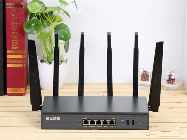 企業(yè)級路由的戰(zhàn)斗機(jī) 飛魚星VW1900評測
