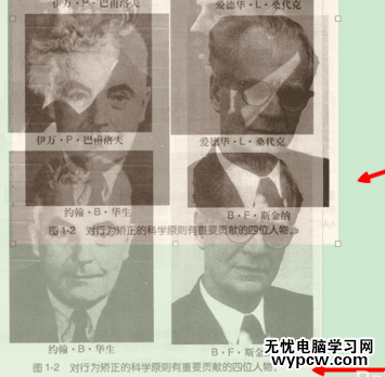 word中如何自由移動圖片_word中自由移動圖片的方法步驟