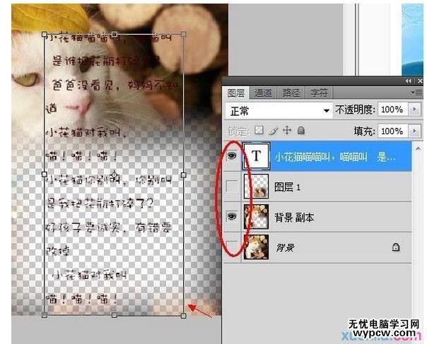 PS圖片動態簽名教程制作