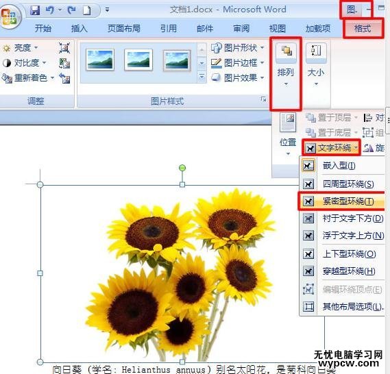 word2007圖片緊密環繞文字的兩種技巧