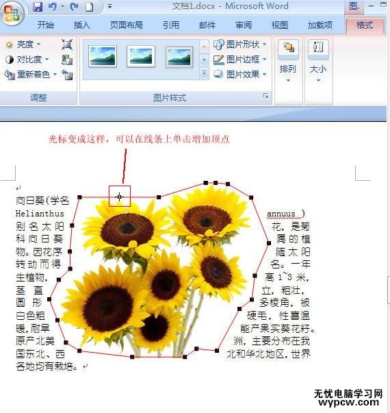 word2007圖片緊密環繞文字的兩種技巧