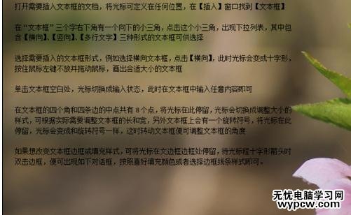 word如何設置背景色